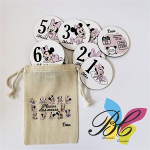 Placas dos meses do bebe